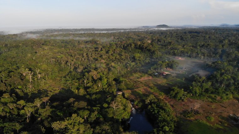 The jungle, Vaupes. Image by Luis Ángel. Colombia, 2019.