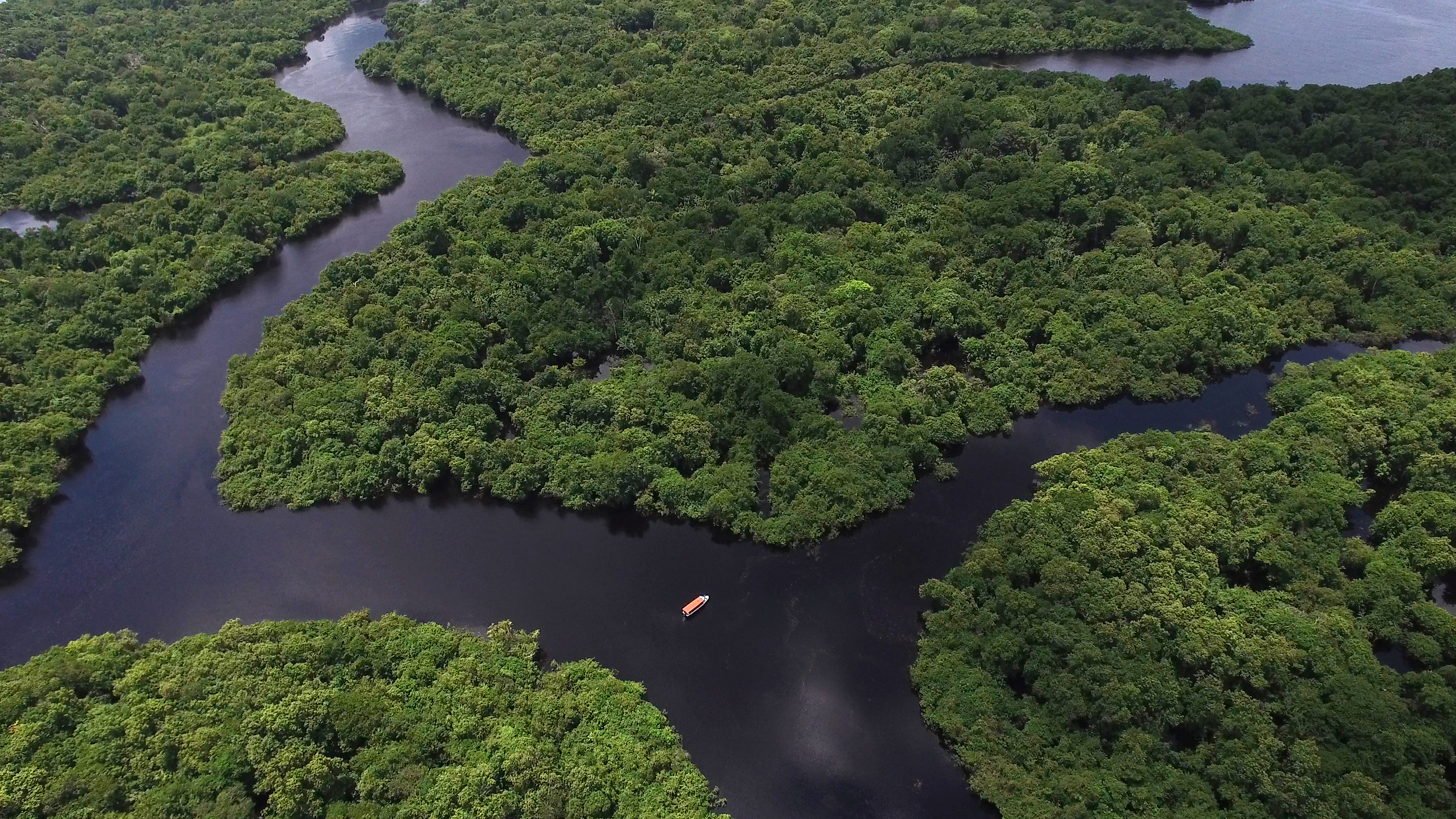 Aerial shot of the Amazon rainforest in South America. Image by Gustavo Frazao. Brazil, undated. Aerial shot of the Amazon rainforest in South America. Image by Gustavo Frazao. Brazil, undated.