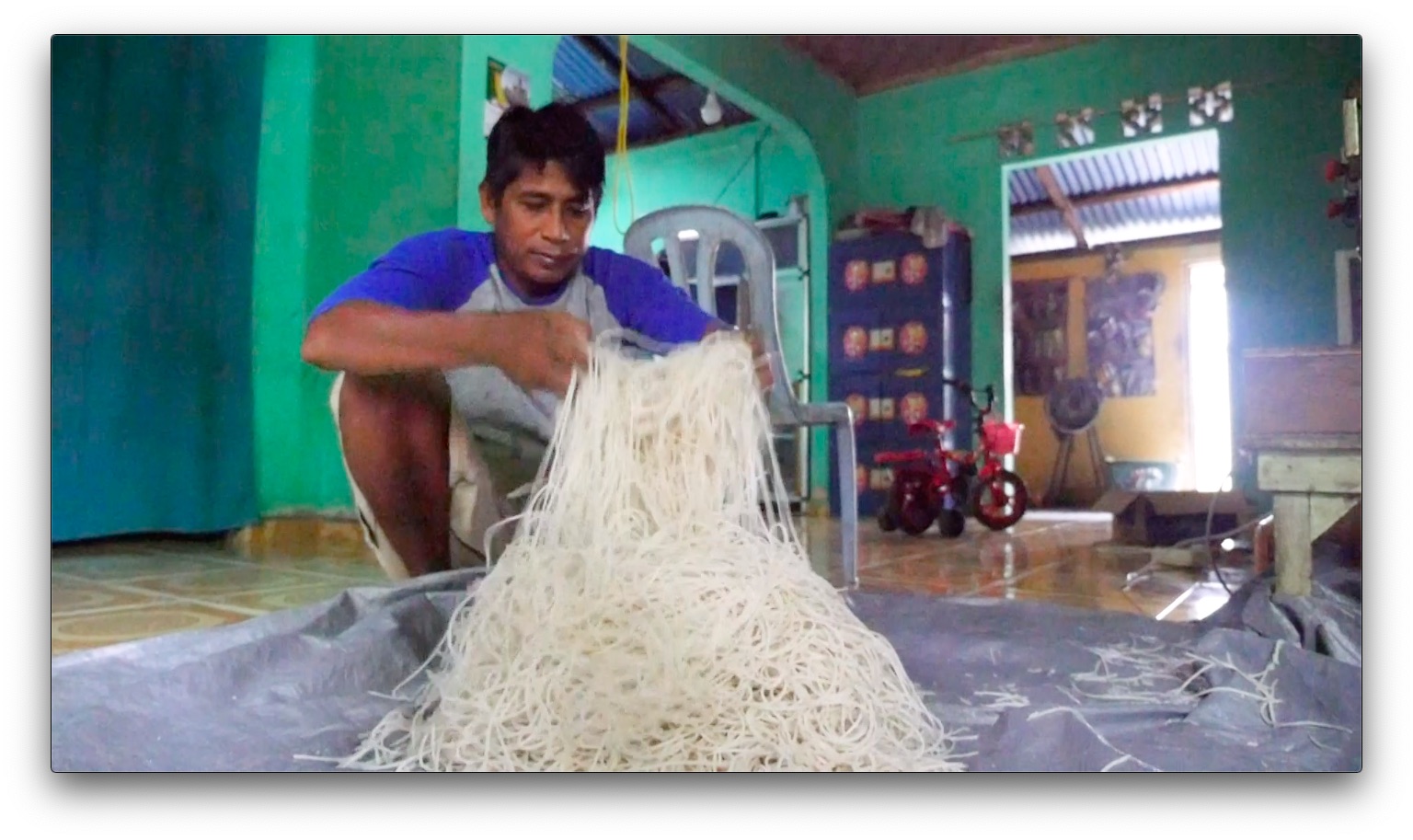 Sumatra farmer Abdul Manan makes pasta from the pith of sago palm trees. Unlike oil palm, which can only grown on dry land, the indigenous sago is water-tolerant. Indonesia wants farmers to plant more swamp trees, avoiding the need to drain its coastal wetlands. Image by Daniel Grossman. Indonesia, 2019. Sumatra farmer Abdul Manan makes pasta from the pith of sago palm trees. Unlike oil palm, which can only grown on dry land, the indigenous sago is water-tolerant. Indonesia wants farmers to plant more swamp trees, avoiding the need to drain its coastal wetlands. Image by Daniel Grossman. Indonesia, 2019.