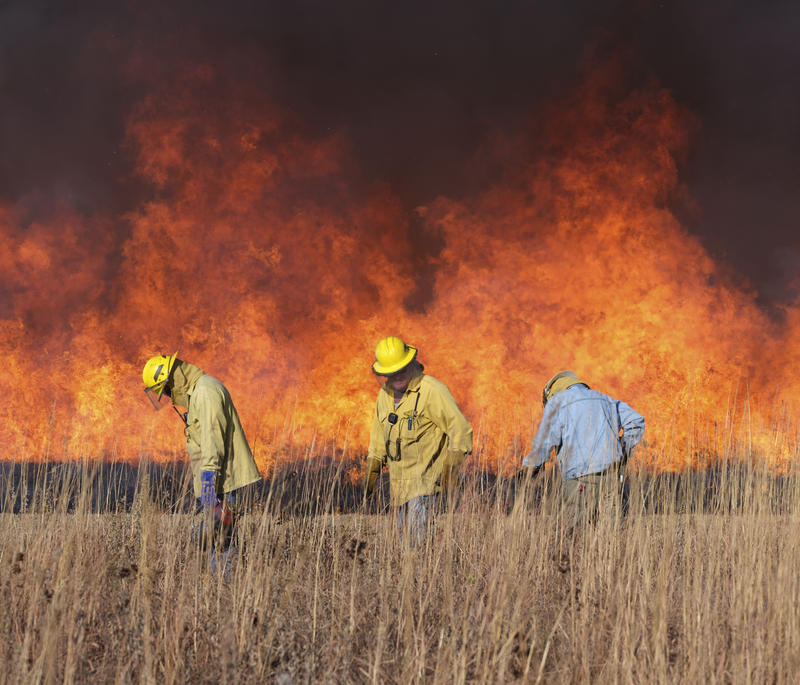 Volunteer crews at Konza Prairie Biological Station have a careful system for burning exactly the areas intended. Image by Kyler Zelen / For Harvest Public Media. United States, 2020. Volunteer crews at Konza Prairie Biological Station have a careful system for burning exactly the areas intended. Image by Kyler Zelen / For Harvest Public Media. United States, 2020.
