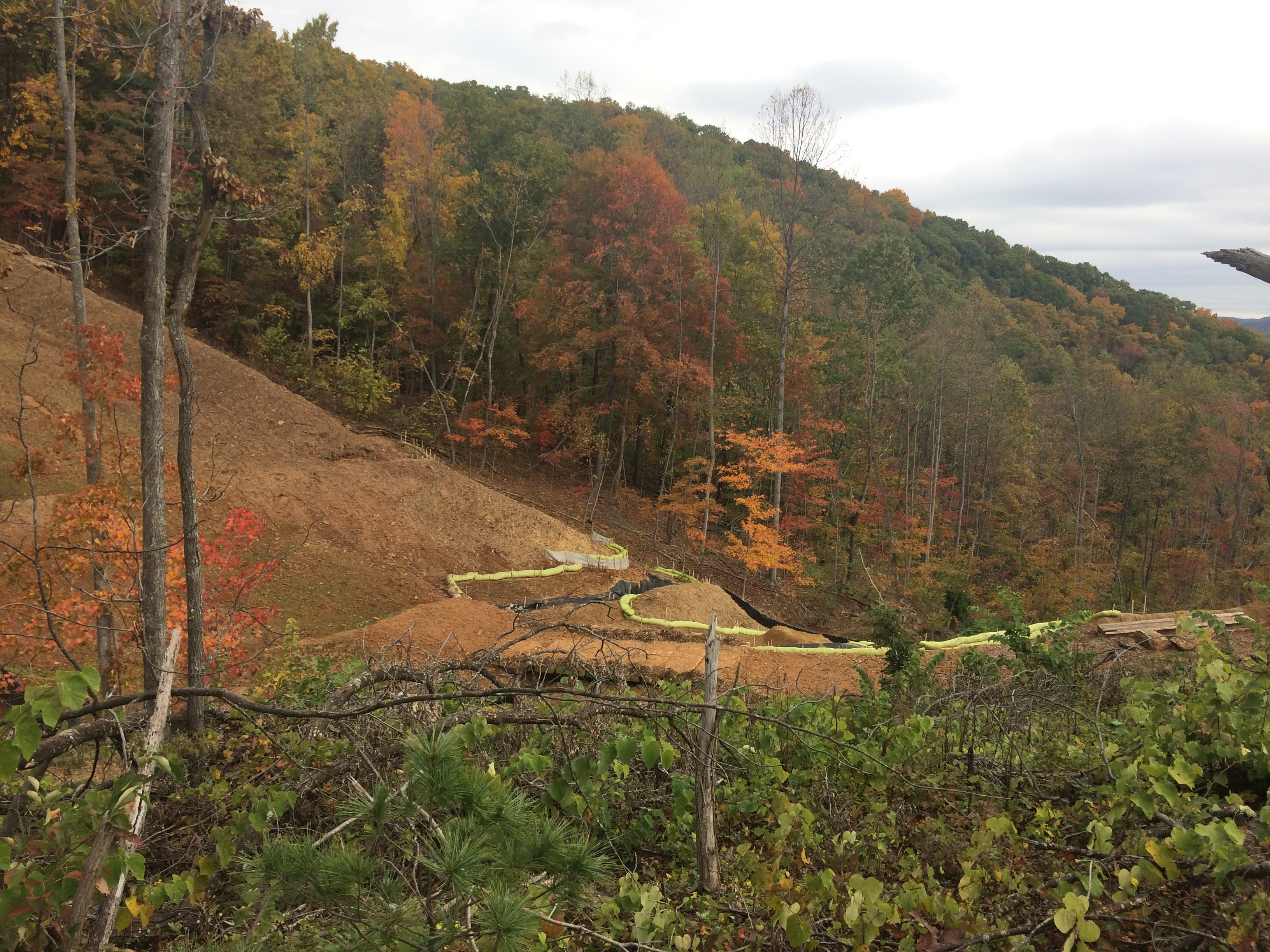 A view of land cleared for the Mountain Valley Pipeline, near the Yellow Finch tree-sits. Image by Kelsey Wright. United States, 2019. A view of land cleared for the Mountain Valley Pipeline, near the Yellow Finch tree-sits. Image by Kelsey Wright. United States, 2019.