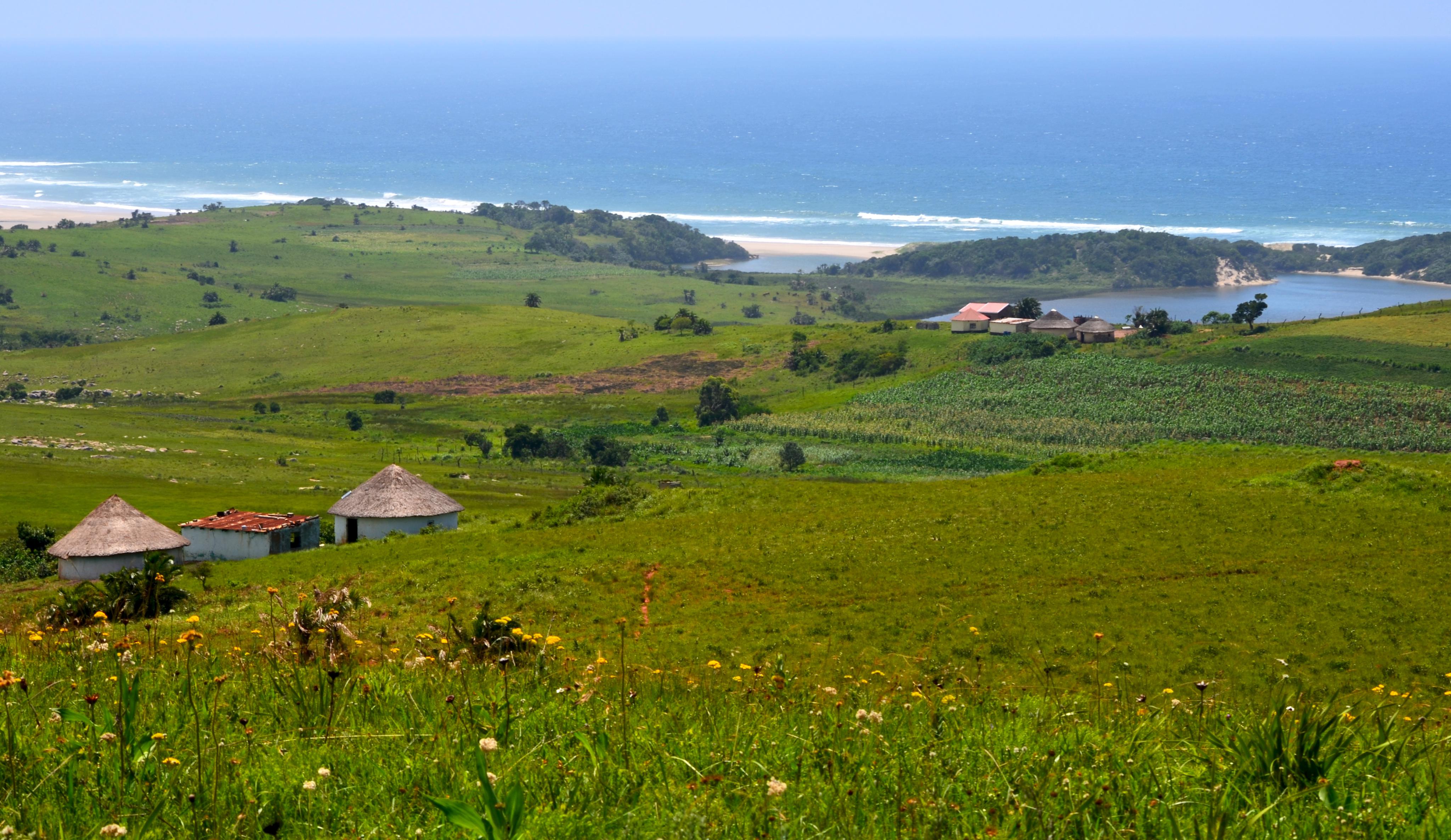 Homes and small agricultural plots dot the villages of Amadiba in South Africa's Eastern Cape province. Image by Mark Olalde. South Africa, 2017. Homes and small agricultural plots dot the villages of Amadiba in South Africa's Eastern Cape province. Image by Mark Olalde. South Africa, 2017.