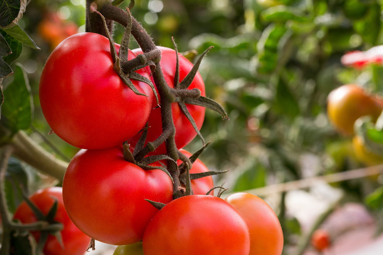 Image by By AJ Cespedes / Shutterstock. Image by By AJ Cespedes / Shutterstock.