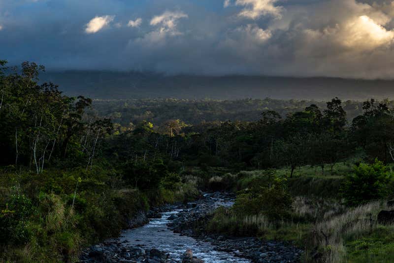 Jungle in the shadow of Rincón de la Vieja, a volcano in north-west Costa Rica that is often obscured by clouds. Image by Dado Galdieri. Costa Rica, 2020. Jungle in the shadow of Rincón de la Vieja, a volcano in north-west Costa Rica that is often obscured by clouds. Image by Dado Galdieri. Costa Rica, 2020.