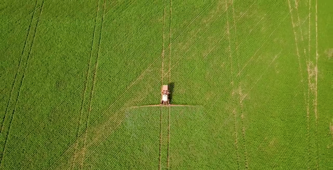 Still from a drone video of a combine driving through soybean fields. Image by Sam Eaton. Brazil, 2018. Still from a drone video of a combine driving through soybean fields. Image by Sam Eaton. Brazil, 2018.