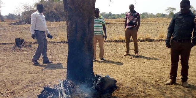 Urambo residents looking at a burning tree at the Ulyankhulu Forest Reserve in Tabora region. Image by Veronica Mapunda. Tanzania, 2020. Urambo residents looking at a burning tree at the Ulyankhulu Forest Reserve in Tabora region. Image by Veronica Mapunda. Tanzania, 2020.