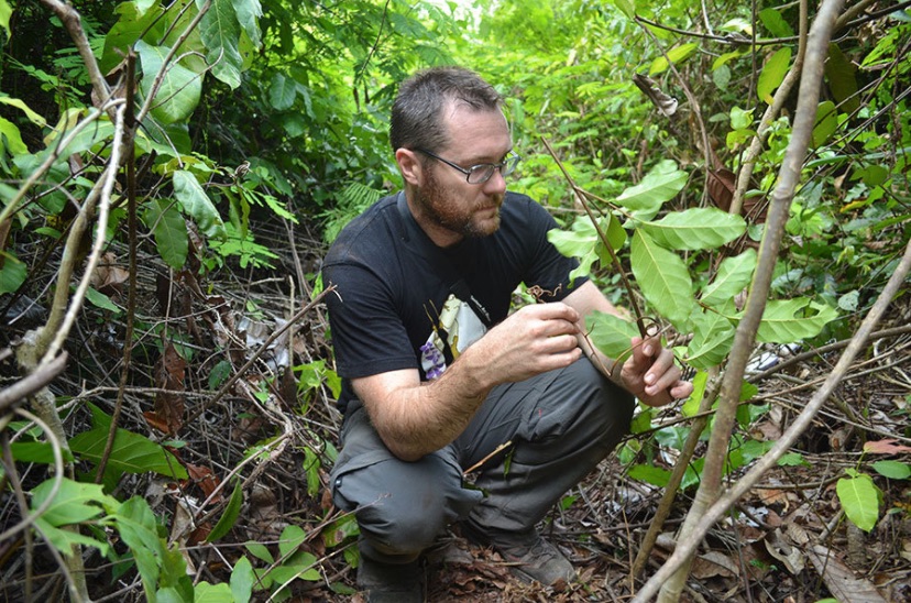 Australian biologist Andy Marshall identifies a plant in the Magombera Forest in sourthern Tanzania, where he is trying to save trees to help curb global warming. Image by Daniel Grossman. Tanzania, 2017. Australian biologist Andy Marshall identifies a plant in the Magombera Forest in sourthern Tanzania, where he is trying to save trees to help curb global warming. Image by Daniel Grossman. Tanzania, 2017.