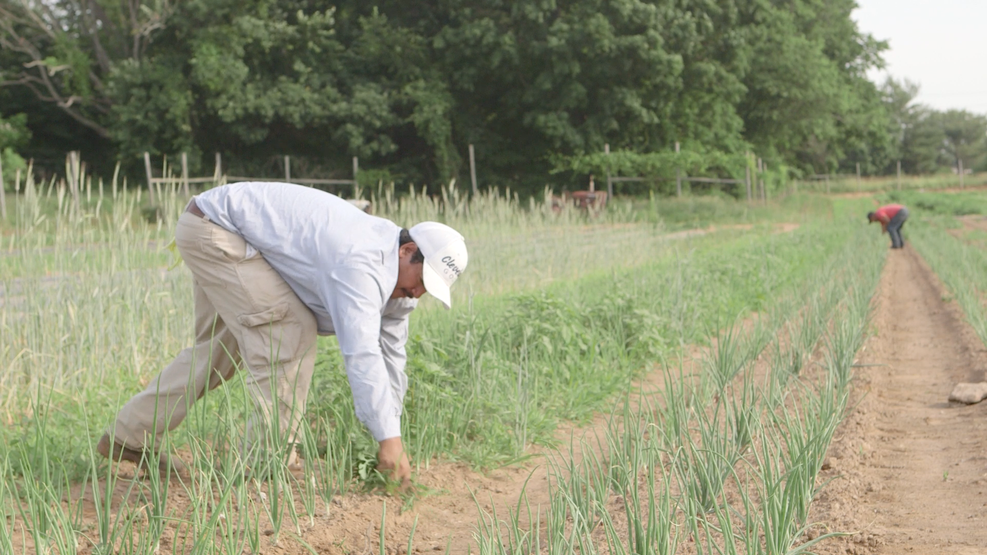 Promotional image for the 2020 Reporting Fellows Film Festival. United States, 2020. Promotional image for the 2020 Reporting Fellows Film Festival. United States, 2020.