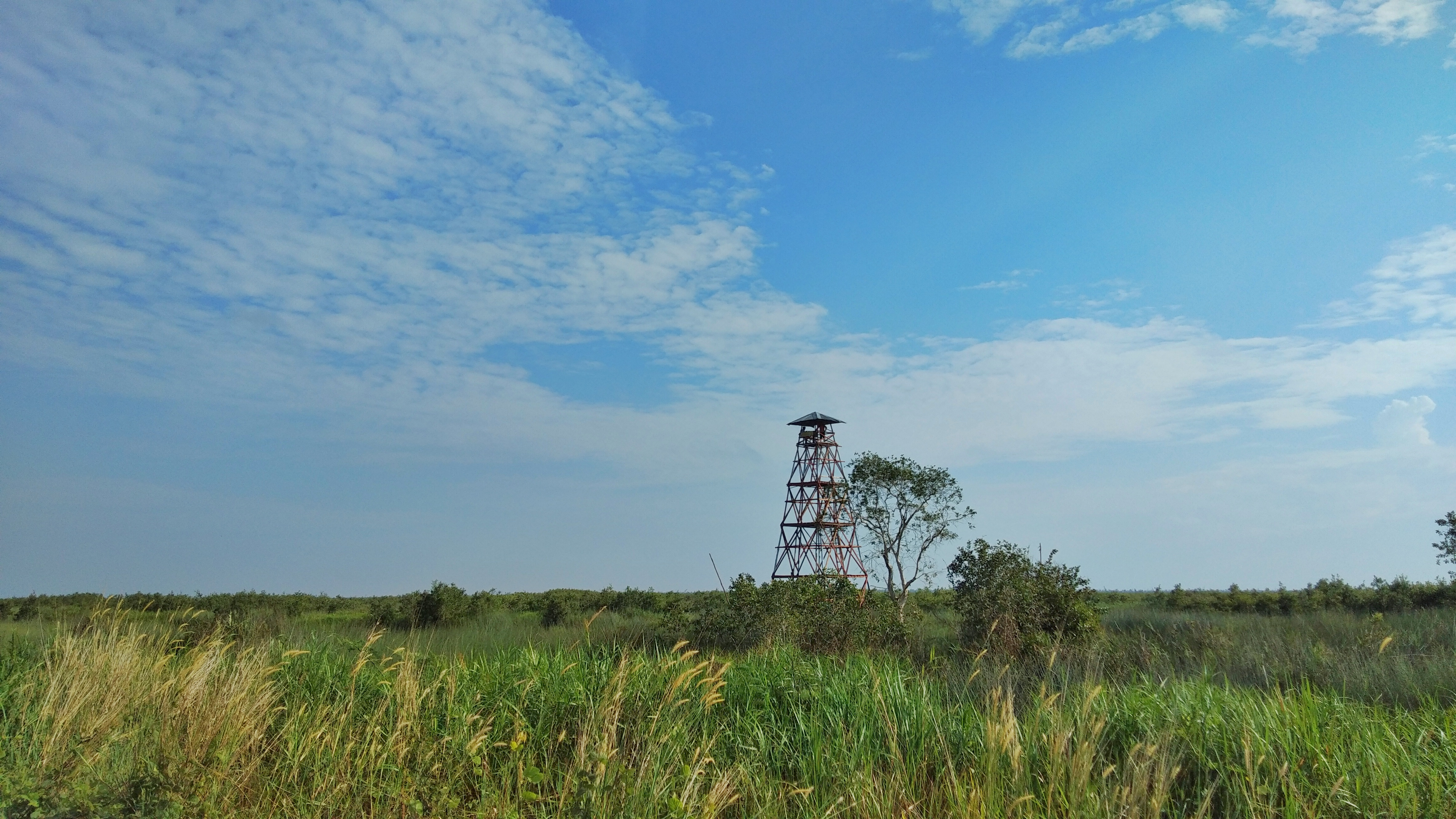 Palembang, South Sumatra—May 30, 2019. A watch tower stands guard against forest fire in South Sumatran peatland. Image by Slamet Mulyadi / Shutterstock. Indonesia, 2019. Palembang, South Sumatra—May 30, 2019. A watch tower stands guard against forest fire in South Sumatran peatland. Image by Slamet Mulyadi / Shutterstock. Indonesia, 2019.