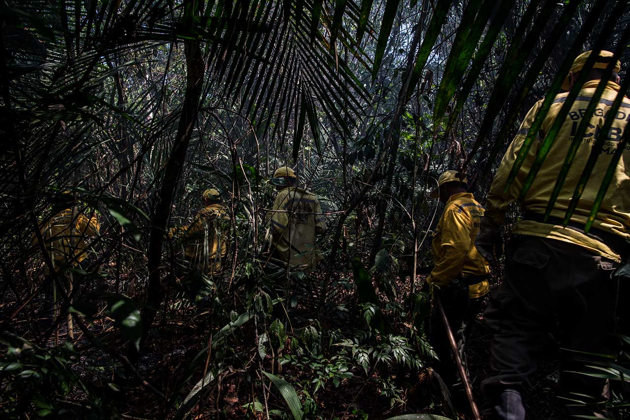 ICMBio brigadiers risk their own lives by entering the Tapajós National Forest in search of forest fires. Image by Flavio Forner. Brazil, 2020. ICMBio brigadiers risk their own lives by entering the Tapajós National Forest in search of forest fires. Image by Flavio Forner. Brazil, 2020.