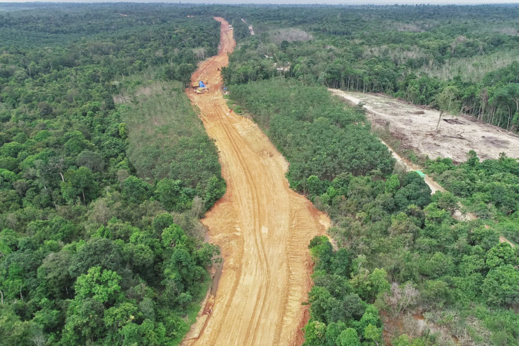 The Political Arc of Deforestation