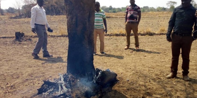 Local community members witnessing a burning tree at the Ulyankhulu Forest Reserve in Urambo District in Tabora Region recently. Photo by Veronica Mapunda. Local community members witnessing a burning tree at the Ulyankhulu Forest Reserve in Urambo District in Tabora Region recently. Photo by Veronica Mapunda.