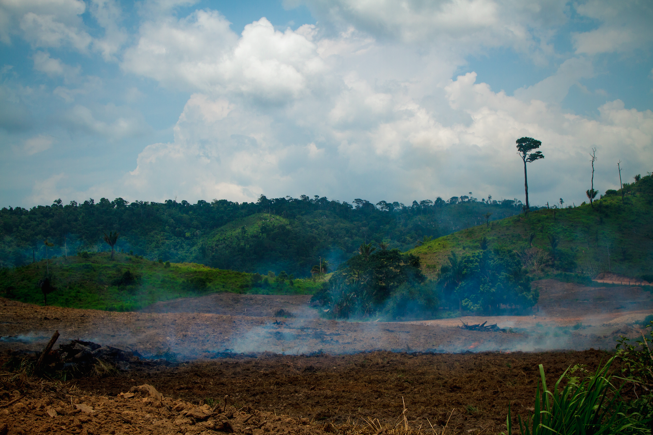 Deforestation on the livestock farm in the municipality of São Félix do Xingu, in Pará. Image by Marcio Isensee/Shutterstock. Brazil.