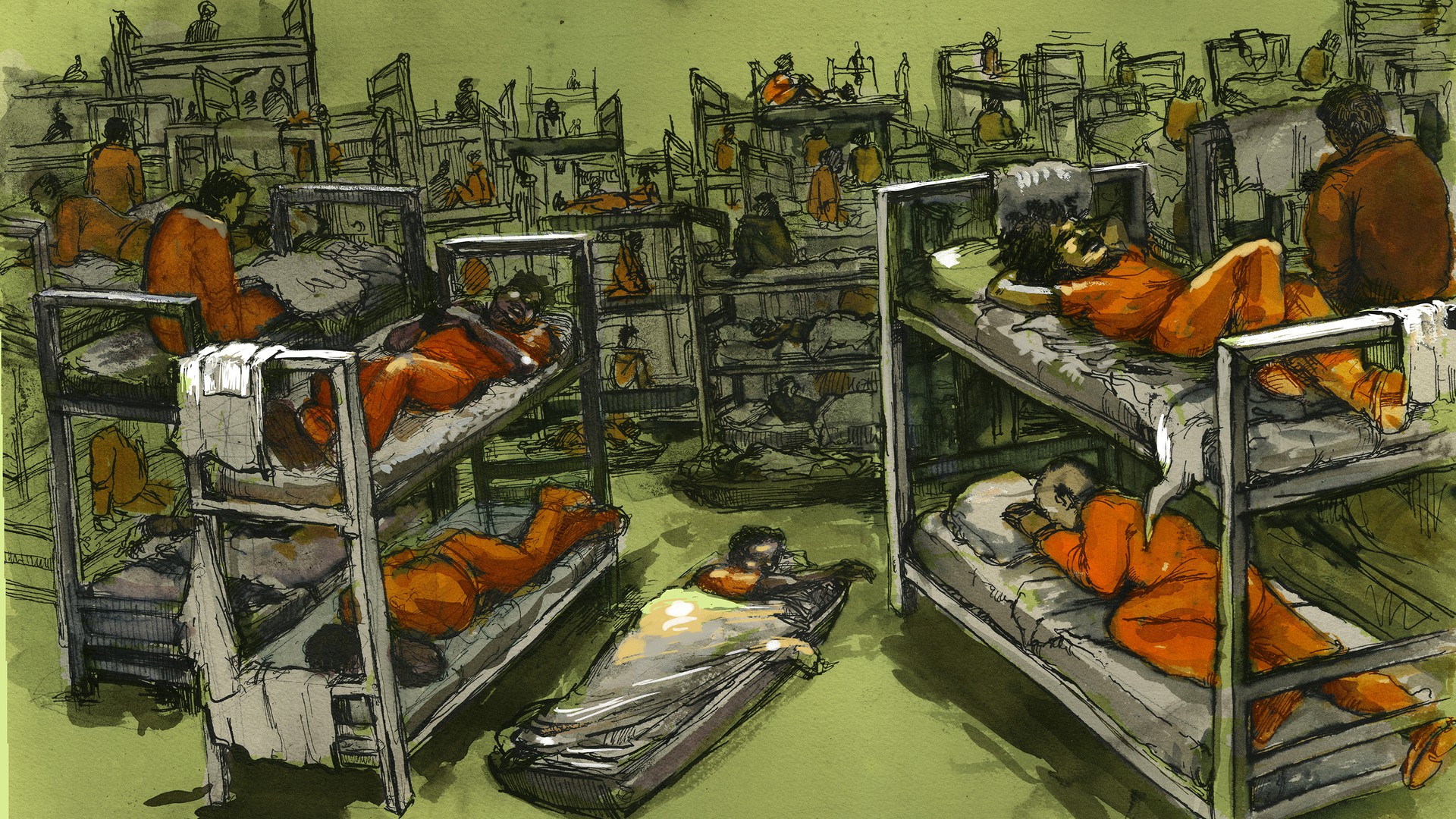 Illustration by Molly Crabapple