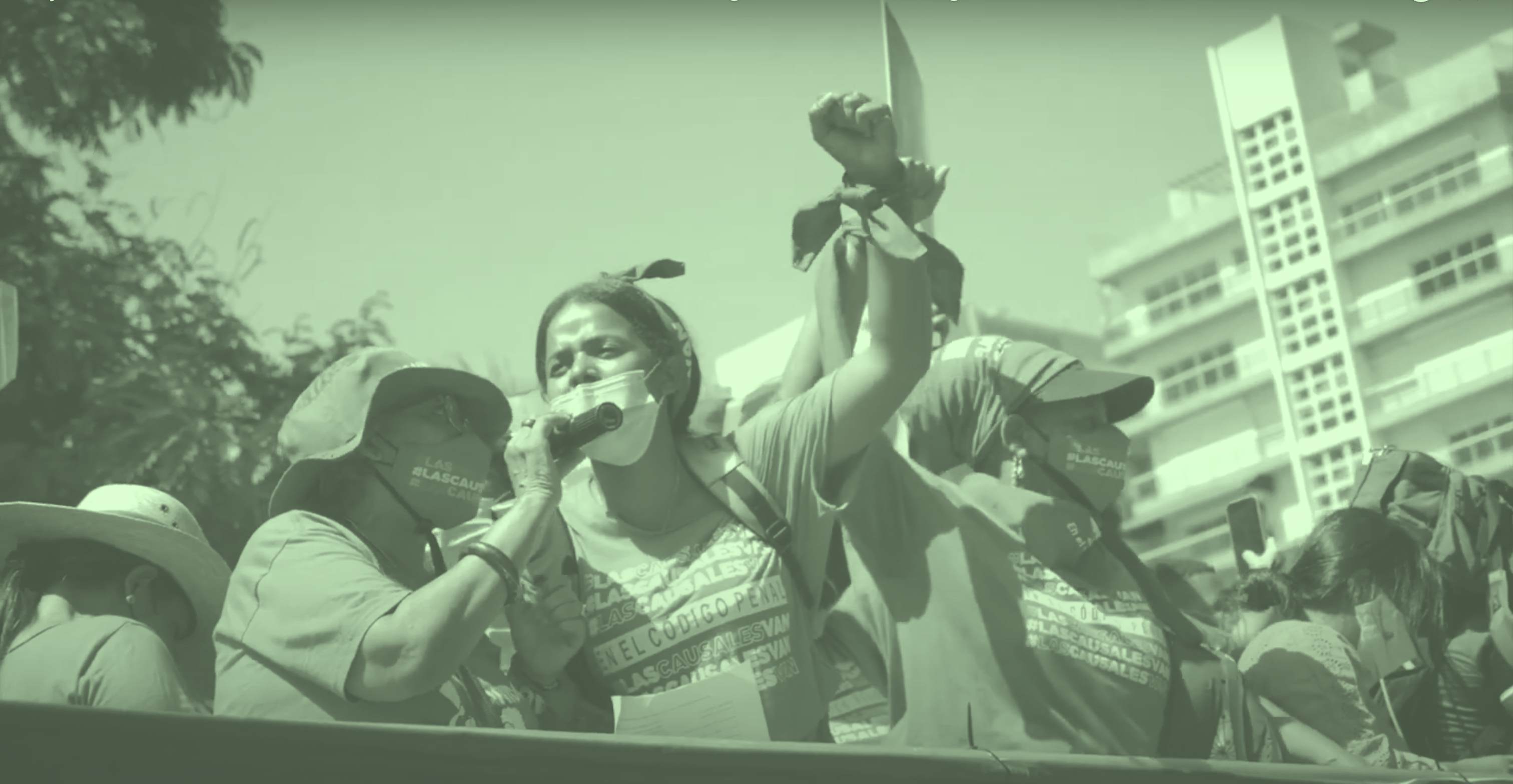 Women and birth-givers protest