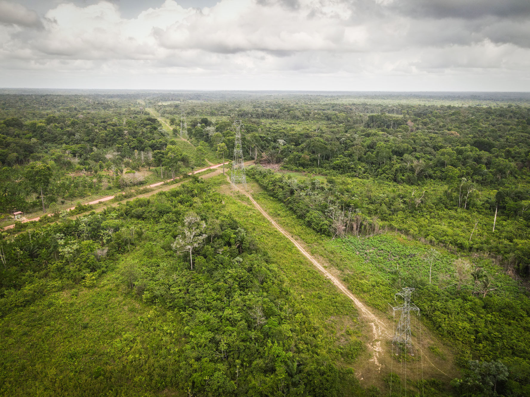 Imagem aérea de obras como estradas e torres de eletricidade na floresta.