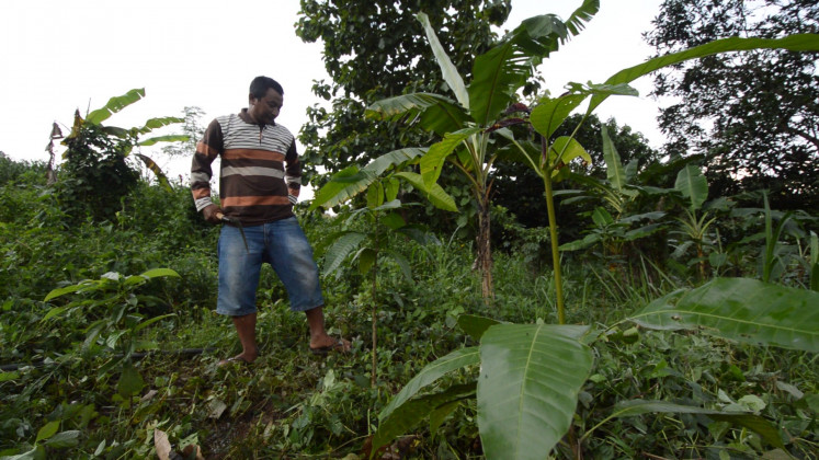 A farmer stands in the forest clearing weeds.