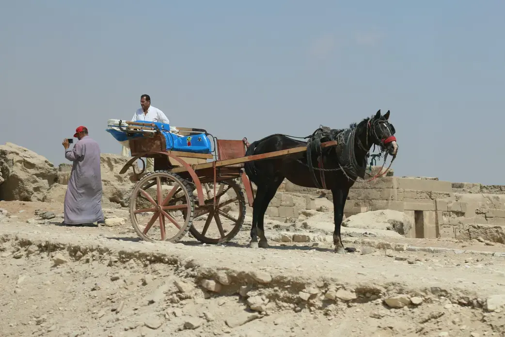 In Egypt, donkeys and wagons are used to haul people and loads, including containers full of water. Image by Fredrick Mugira. Egypt, 2019.
