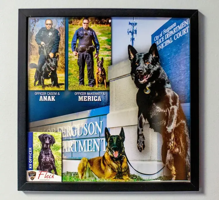 Photographs of officers and their K9 assistants are photographed on Thursday, Dec. 11, 2019, at Superior Transport Inc. in O'Fallon, Missouri. Image by Brian Munoz. United States, 2019.