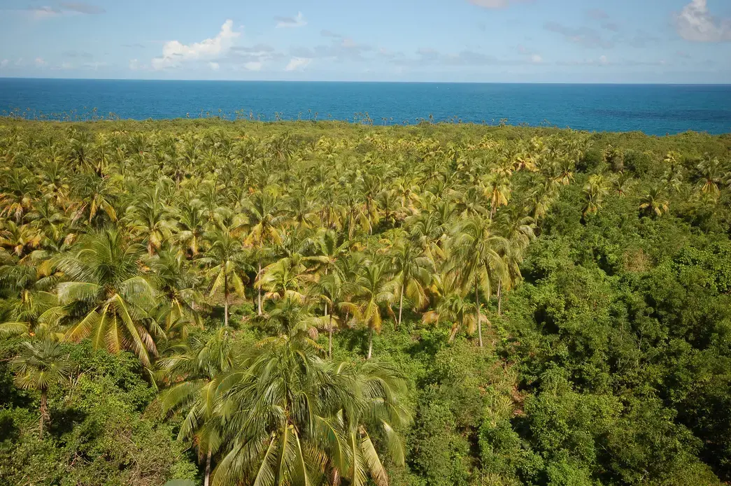 The Guantanamo province in Cuba. Image by Libor Píška / Shutterstock. Cuba, undated.