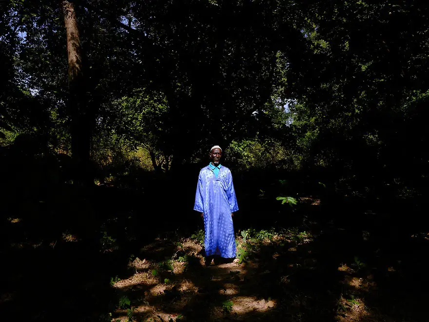 Image by Ricci Shryock/Mongabay. Guinea-Bissau, 2020.