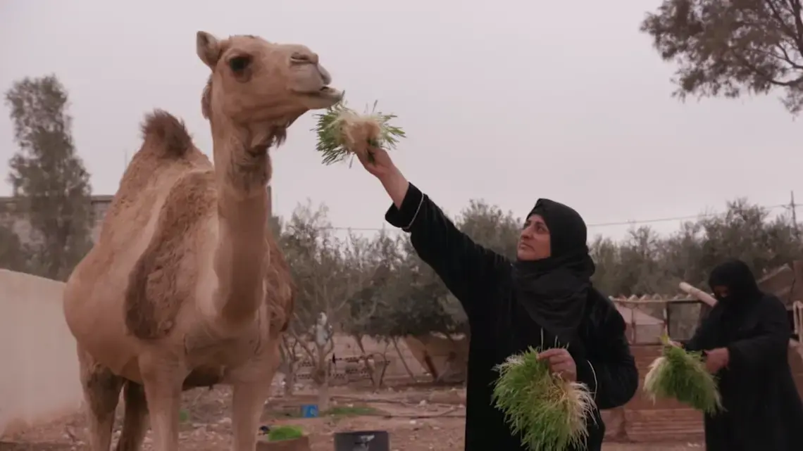 Image by Alessandro Pavone / PBS NewsHour. Jordan, 2020.