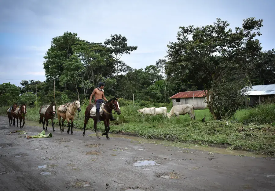 En el sur de Morona Santiago, las comunidades indígenas contemplan la paulatina destrucción de la vegetación tropical. Image by Rodolfo Ansar. Ecuador, 2019.