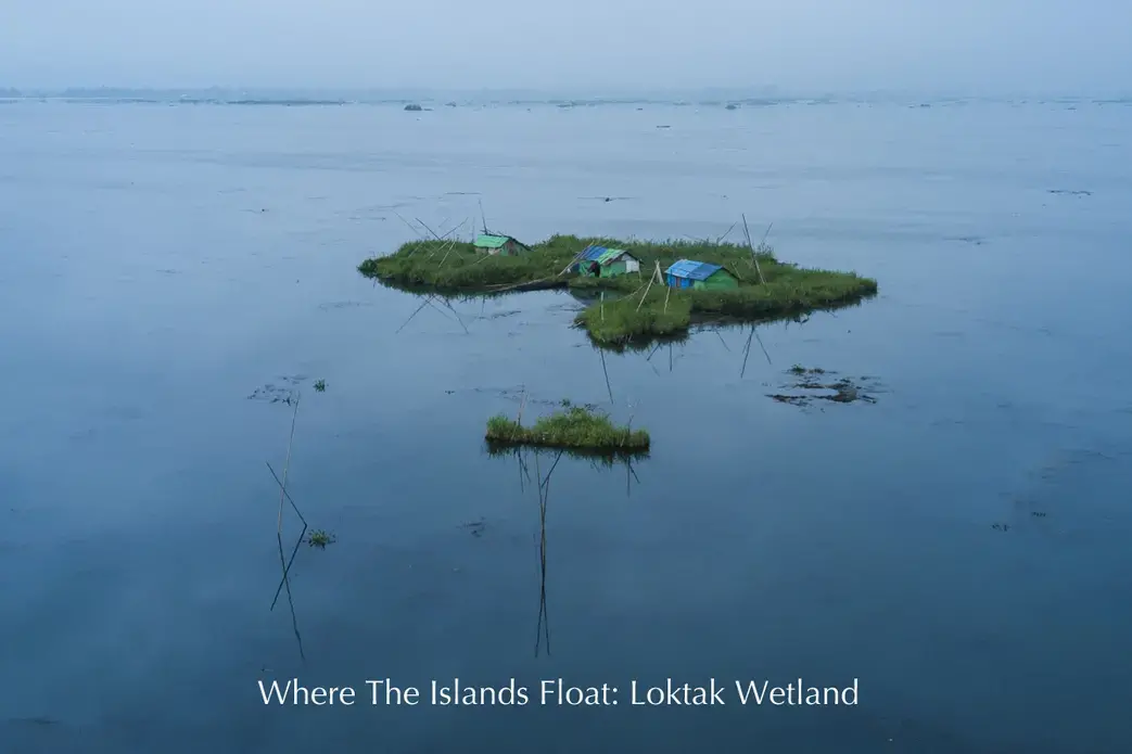 The floating islands of Loktak Lake, known as “phumdis,” home to animals, plants, and an indigenous community, are threatened by development. Image by Neeta Satam. India, 2017.