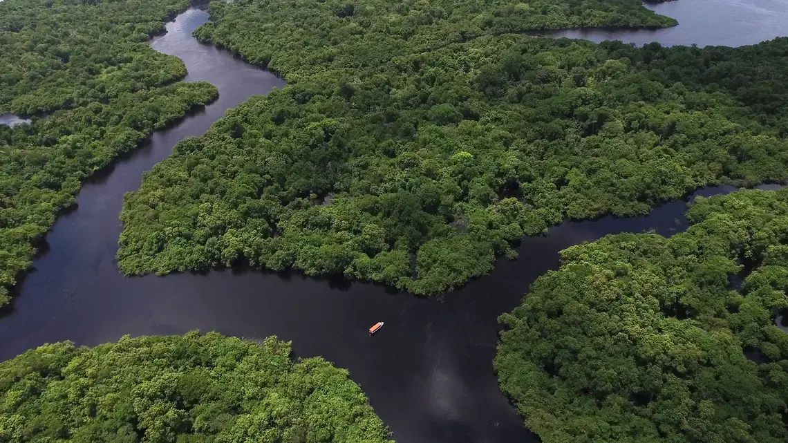 Aerial shot of the Amazon rainforest in South America. Image by Gustavo Frazao. Brazil, undated.