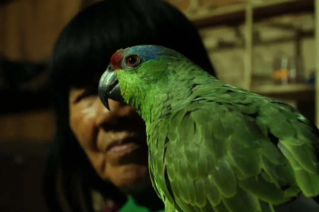 Karina's mother, Augustina, who dedicates her time to handcrafts and exploring medicinal plants, poses with her bird, Maruja.&nbsp;Image by Natalie Hutchison. Peru, 2017.