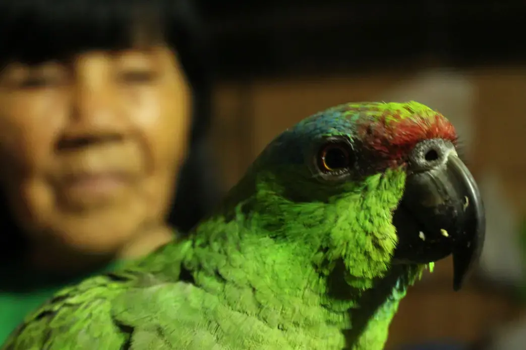 Agustina,&nbsp;Ríos Ramirez, Karina's mother, and her companion, Maruja.&nbsp;Image by Natalie Hutchison. Peru, 2017.