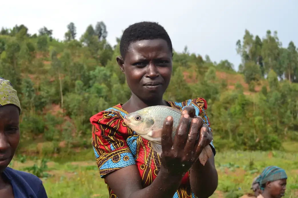 A member of the Amahoro fish farming cooperative holds up a fish she has caught. Image by Cammie Behnke. Rwanda, 2018.