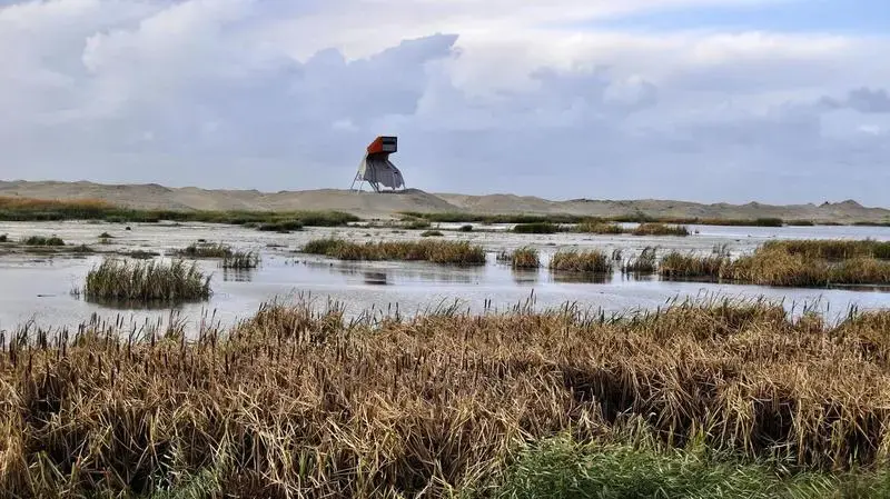 A wildlife-watching tower stands over a newly-built island in a lake near Amsterdam. The island is part of an ambitious restoration effort aimed at minimizing ecological damage caused by a nearby dam. Image by Tristan Baurick / Times-Picayune | The Advocate. The Netherlands, 2020.