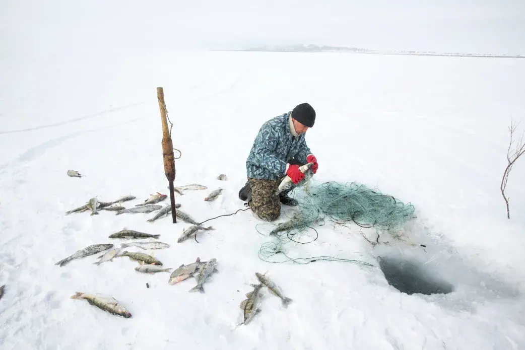 Omirserik Ibragimov, 25, uses a net to ice fish on the frozen surface of the North Aral Sea near Tastubek, Kazakhstan. Image by Taylor Weidman. Kazakhstan, 2017.