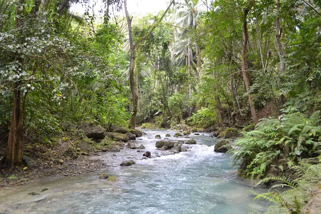 Image by Creative Commons. Philippines, 2017.