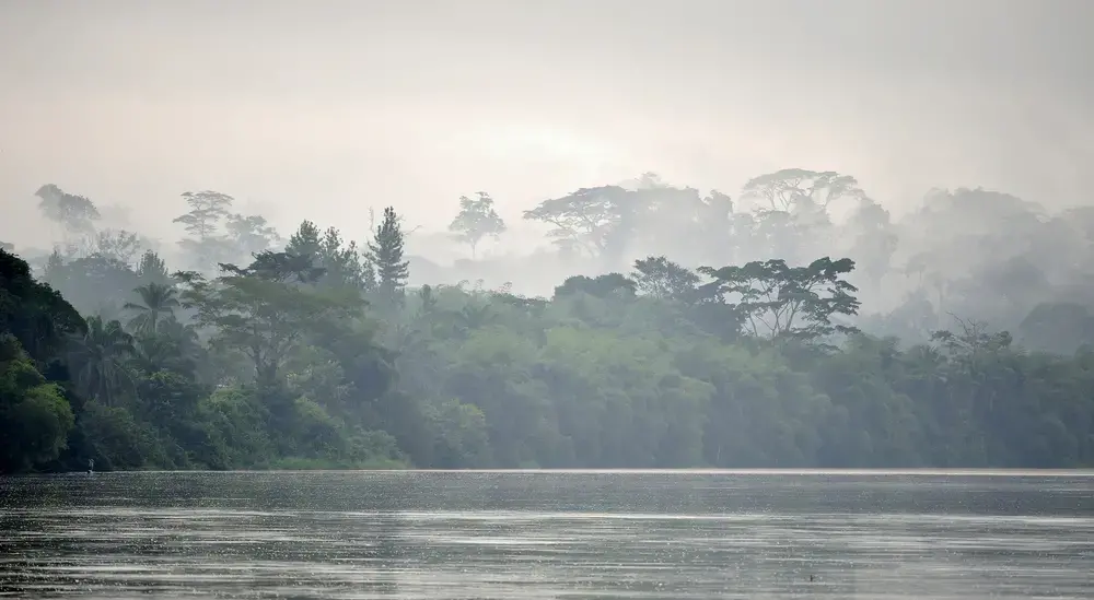 Image by Sergey Uryadnikov / Shutterstock. Democratic Republic of the Congo-Brazzaville, undated.