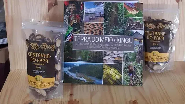 Cultivation and sale of Brazil nuts is among the sustainable activities promoted by the population of the region. Image courtesy CBN.