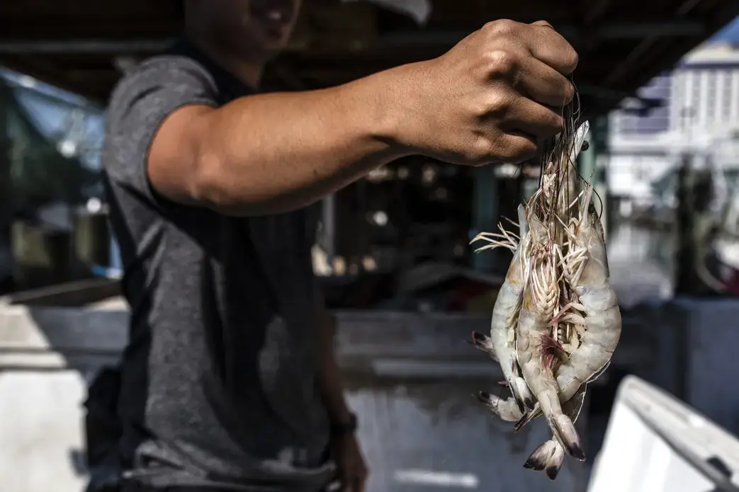 Shrimper Mike Nguyen in Biloxi. Image by Eric J. Shelton for Mississippi Today. United States, 2019.
