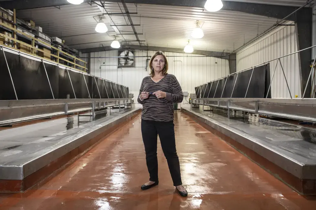 Jennifer Jenkins manages Crystal Seas, an oyster dealer in Pass Christian. Friday, Oct. 25, 2019. Image by Eric J. Shelton/Mississippi Today. United States, 2019.