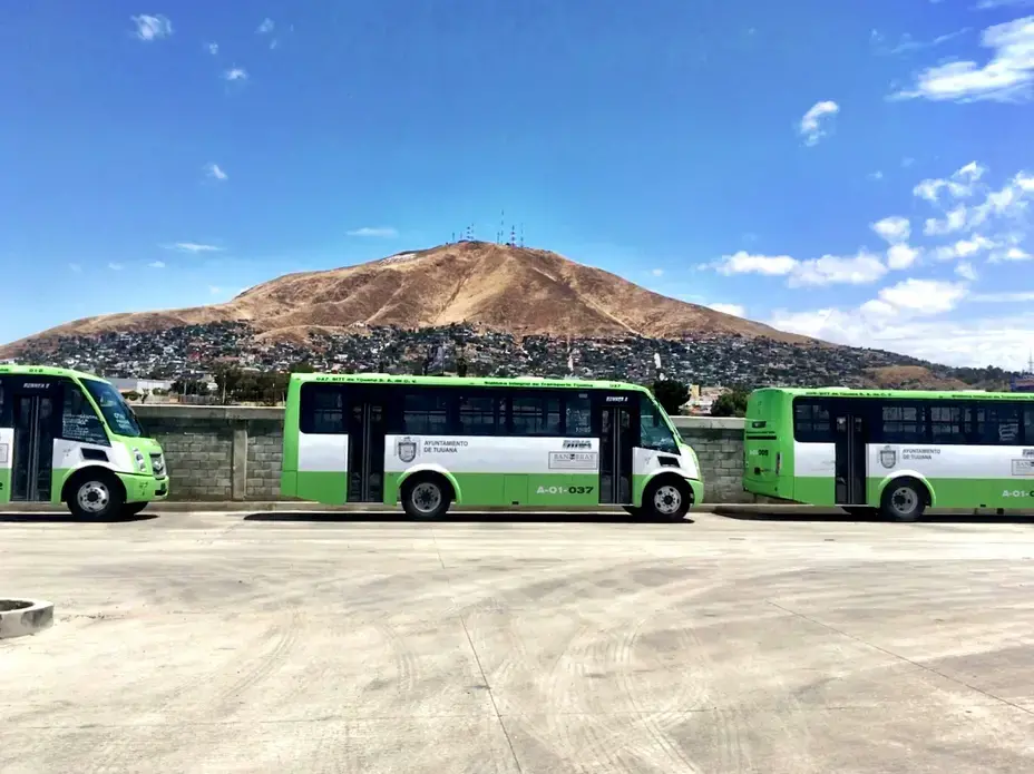One of the Sistema Integral de Transporte de Tijuana's (SITT's) feeder route buses. Image by Patrick Reilly. Mexico, 2017.