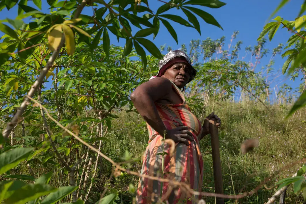 Paulina, 57, harvesting and replanting yucca in Guadalupe. Image by Susan Meiselas. Honduras, 2018.