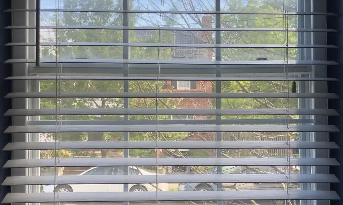 Window to the street. Image by Manan Bhavnani. United States, 2020.