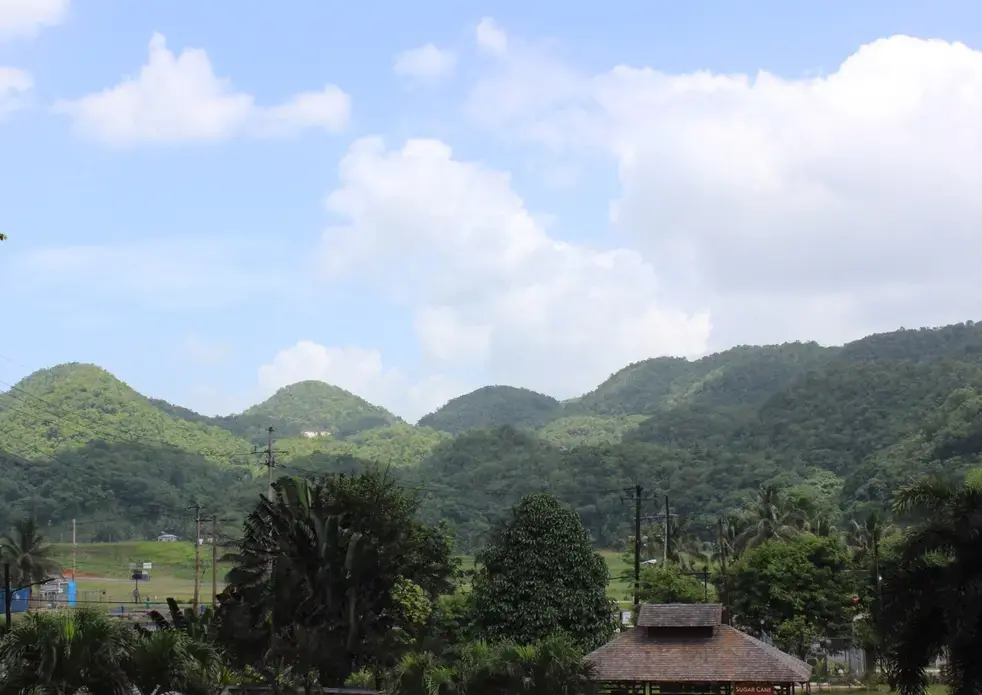 View of Jamaican Mountains in Saint Catherine Parish. Image by Monica Long. Jamaica, 2018.