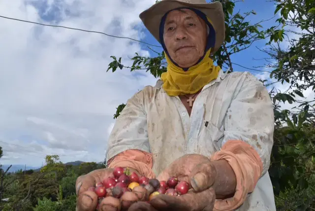 Image by Camila DeChalus. Colombia, 2016.