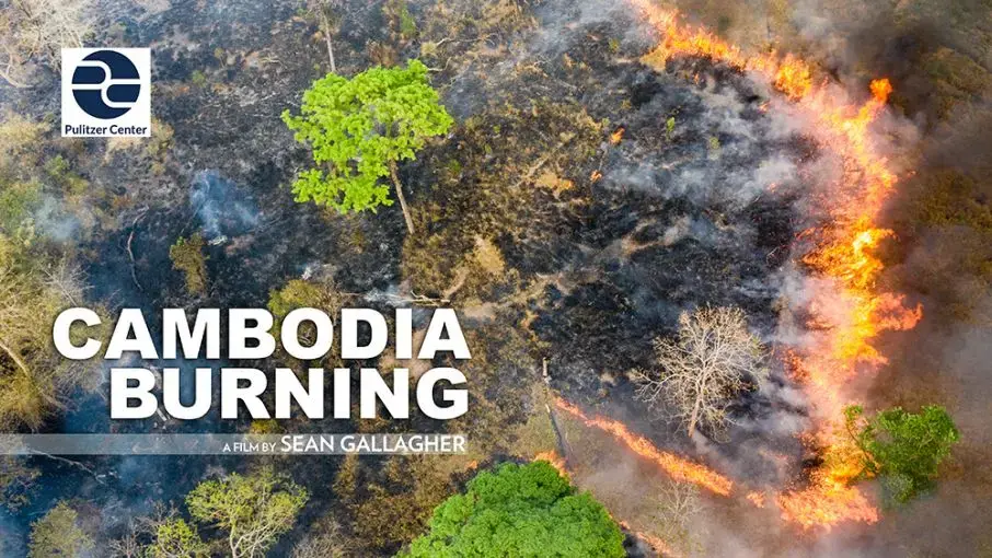 Image by Sean Gallagher. Cambodia, 2020.