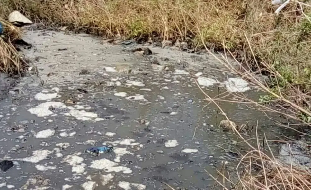 Waste dumped in the water in Kitty Tambana. Image by Besenty Gomez. Gambia, 2018.