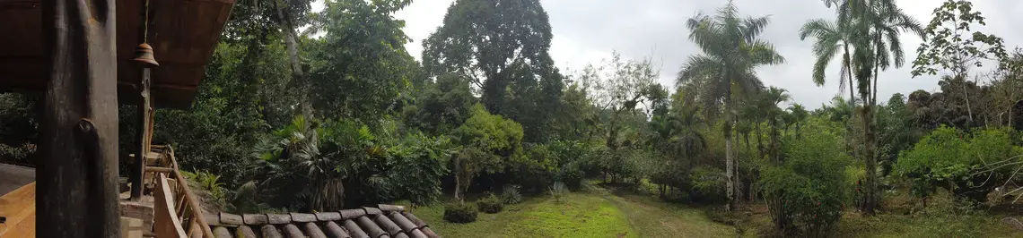View from a "jungle house" in Puerto Quito. Image by Ayanna Dickinson. Ecuador, 2019.