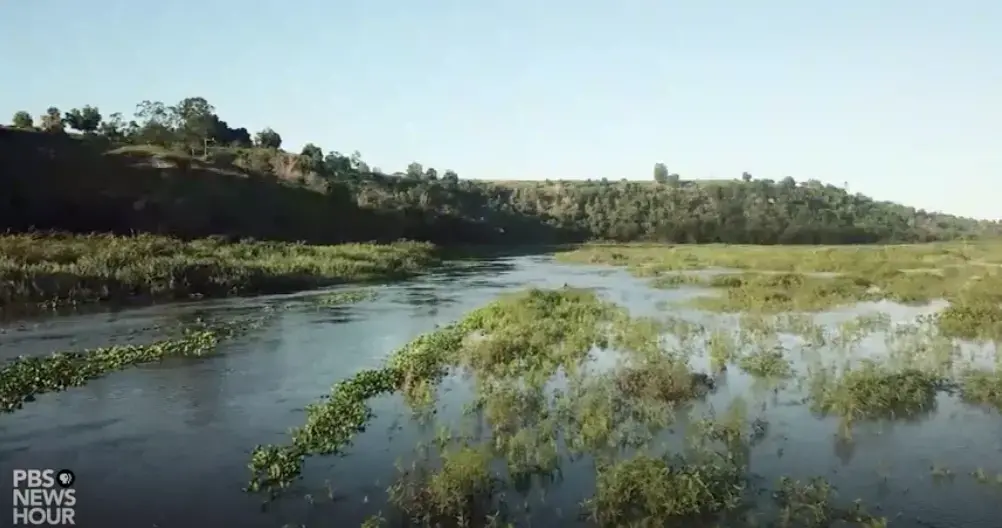 The Amazon is the world's largest rainforest and a critical line of defense against climate change. Image courtesy of PBS NewsHour. Brazil, 2019.