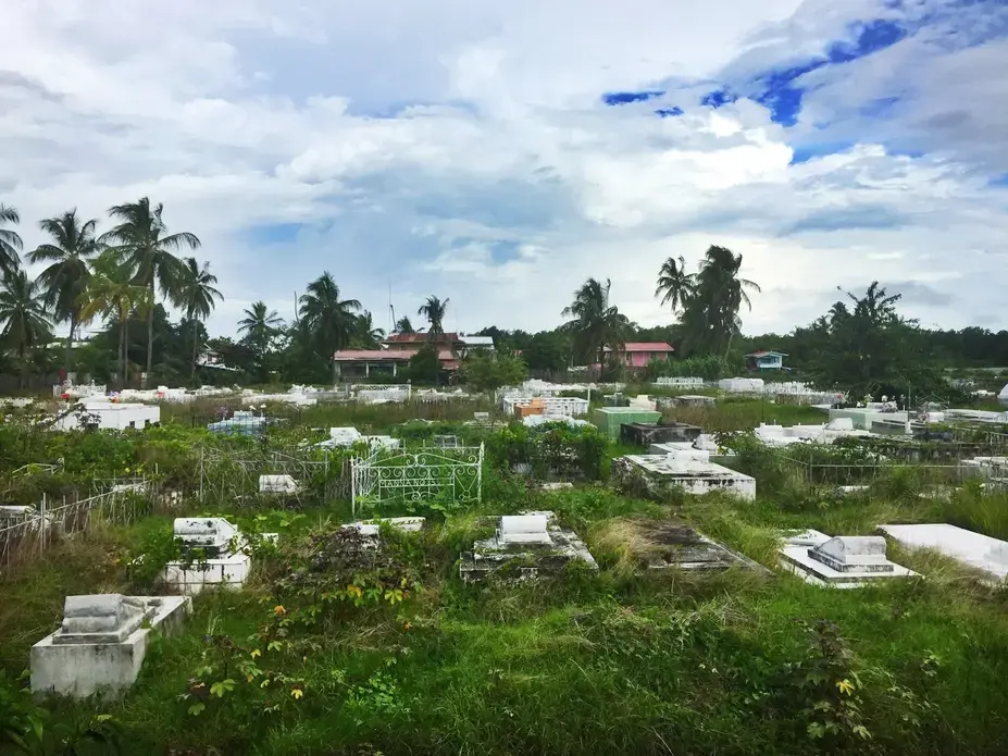 Overgrown graveyards scatter the roadsides. Image by Campbell Rawlins. Guyana, 2017. 