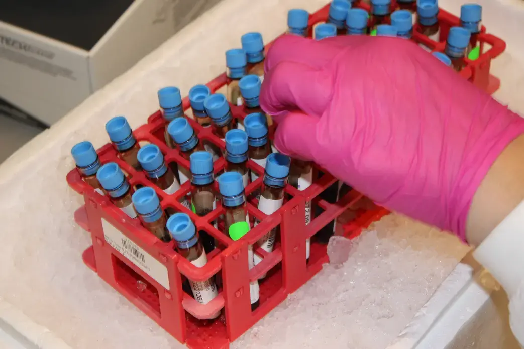 A researcher at biopharmaceutical company DeCode Genetics labels blood samples that are kept on ice. Image by Anna M. Clausen. Iceland, 2017.